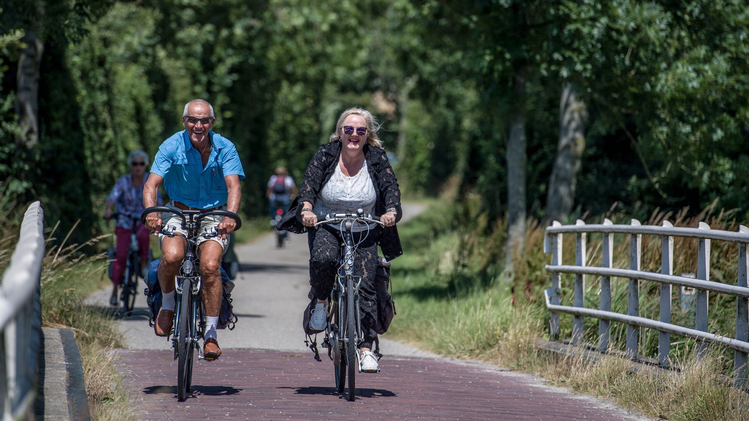 Senioren op de fiets in Zeeland