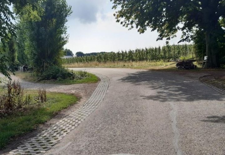 Fruitboomgaard