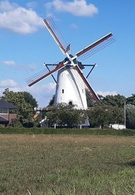 Molen 